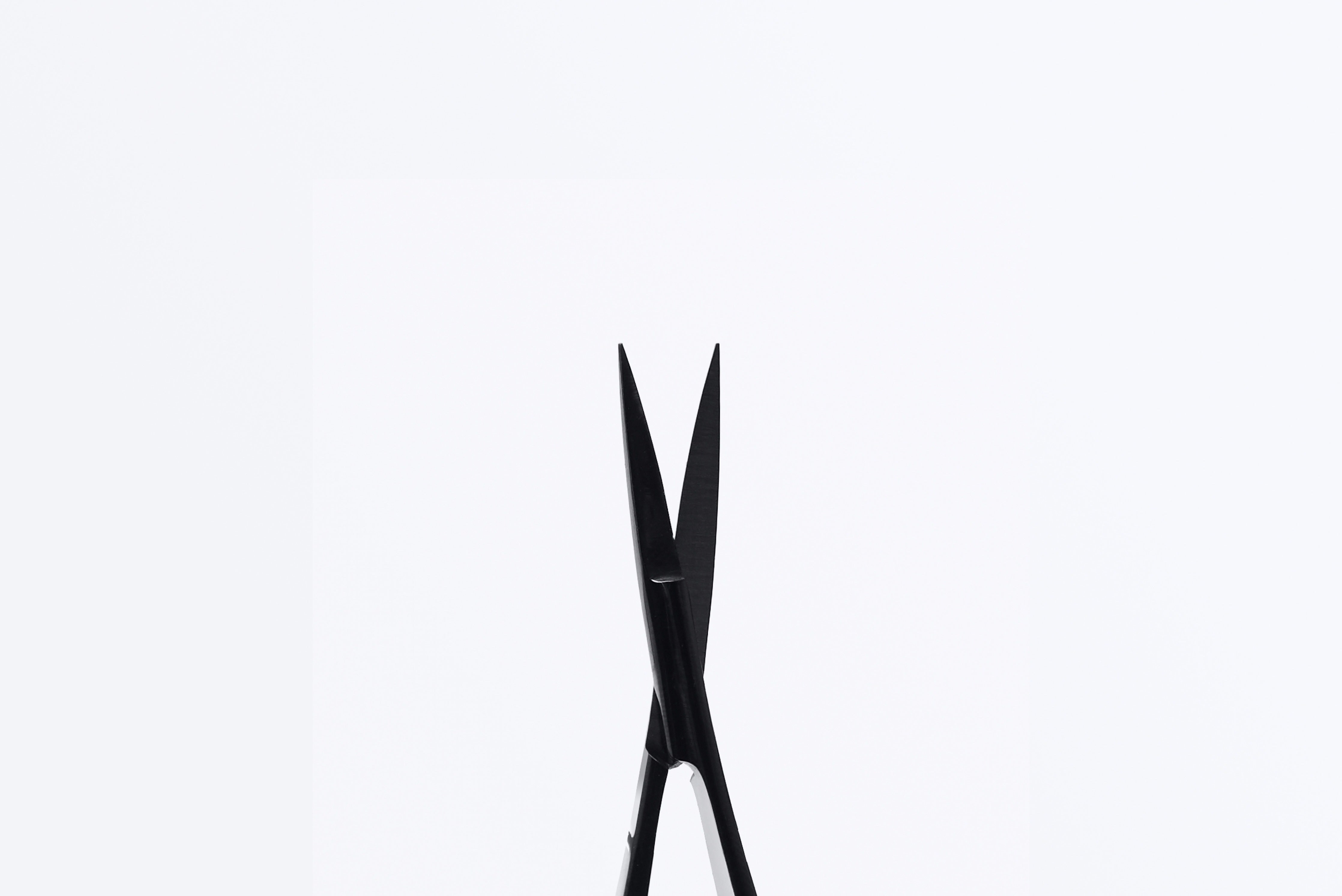 Multiuse Precision Scissors